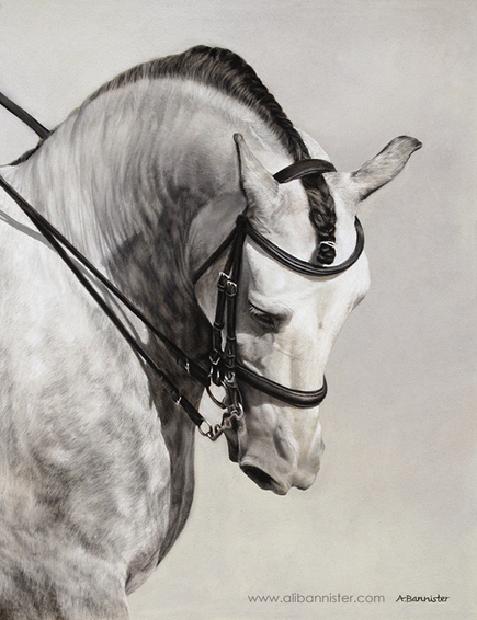 The Spanish Horse in Pastel